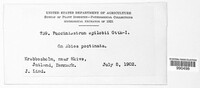 Image Associated With the Occurence